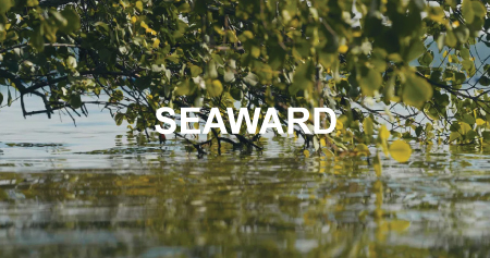 SEAWARD2